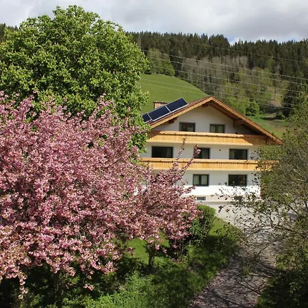 Eiblhof Apartment Schladming Exterior photo