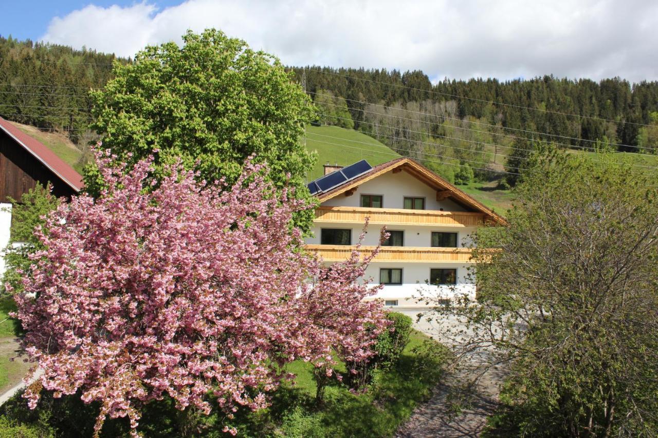 Eiblhof Appartement Schladming